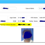 driving licence number search
